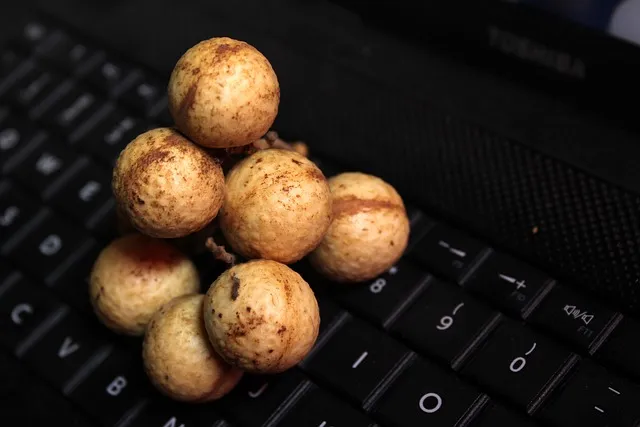 여주 가볼만한곳 베스트10 완벽 관광 가이드_9