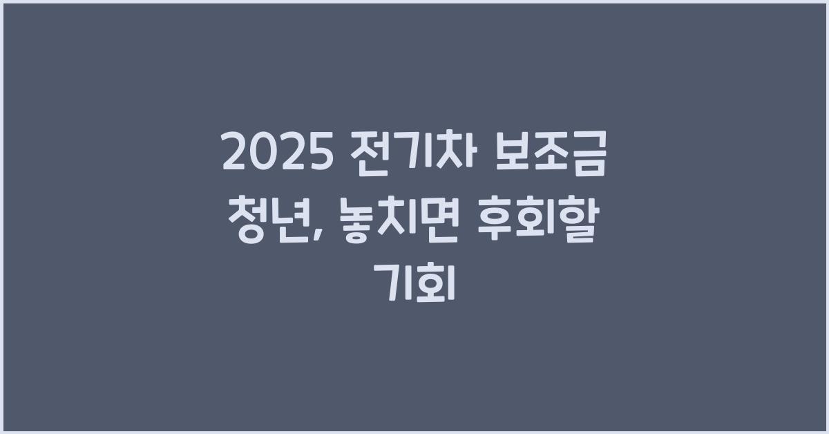 2025 전기차 보조금 청년