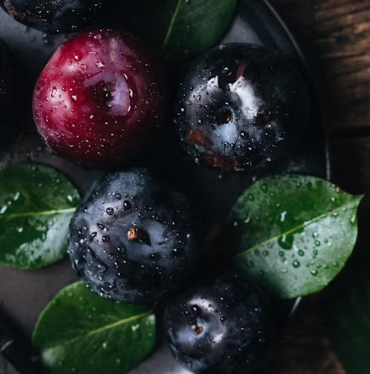 자두 효능 부작용 고르는법 칼로리