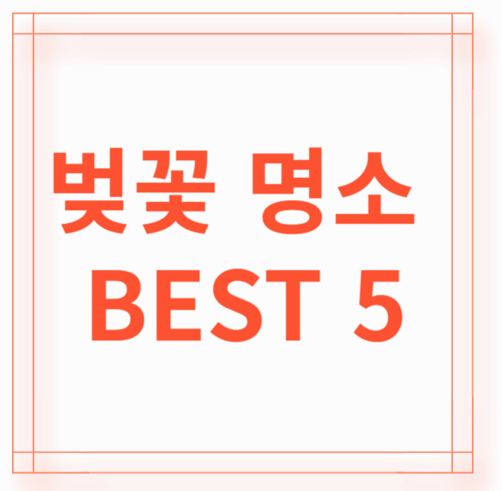 강원 벚꽃명소 BEST 5