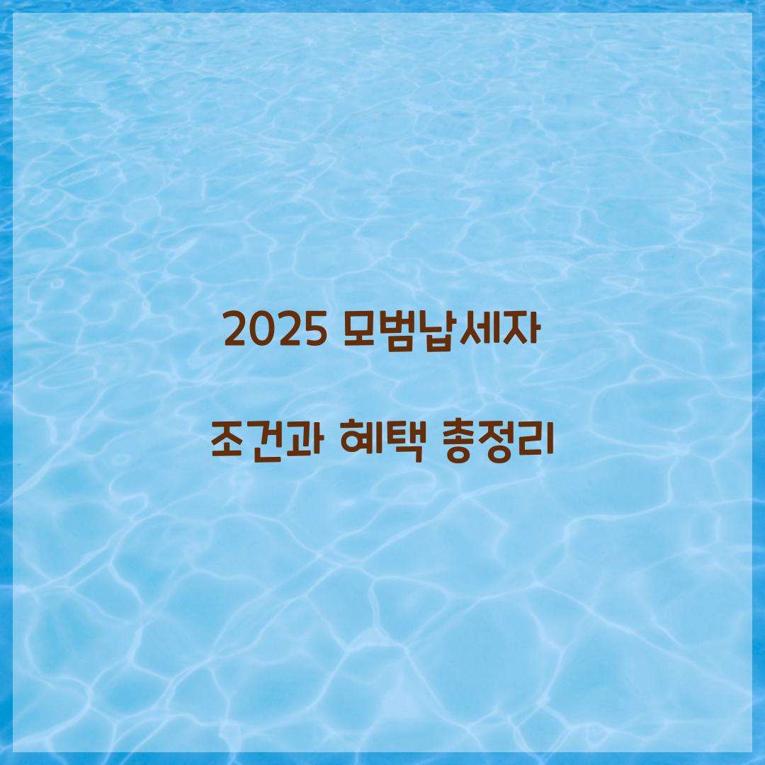 모범납세자 조건