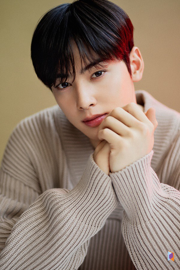 여리여리한 차은우
