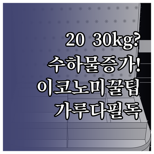 가루다인도네시아 이코노미 클래스 수하..