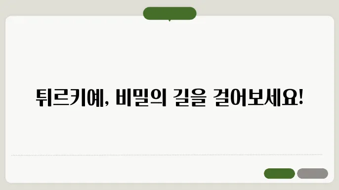 튀르키예 여행 코스