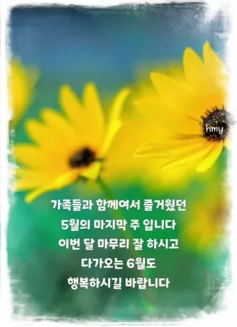 기분 좋은 아침 인사말 문구 이미지 모음들_21