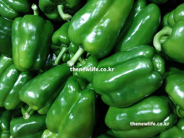 피망 효능인 장 건강에 좋은 식이섬유가 연해 보이는 피망을 가까이서 찍은 실사진