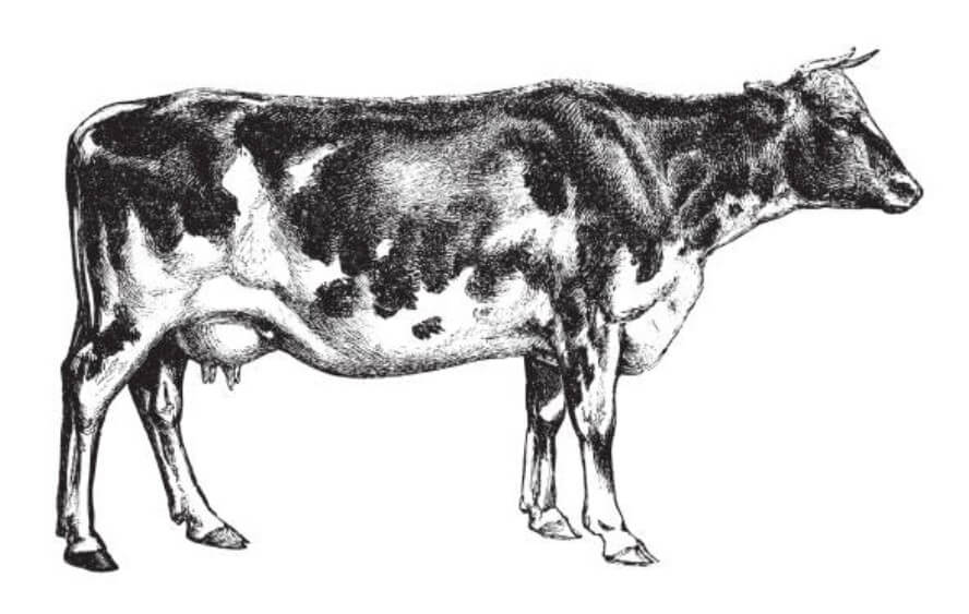 소띠상극띠개띠