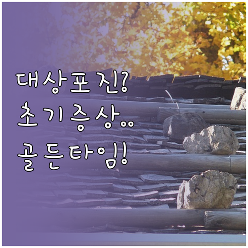 대상포진 초기 전조증상 구분과 골든타..