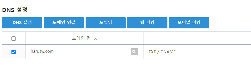 가비아 DNS 설정