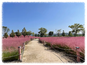 합천신소양체육공원