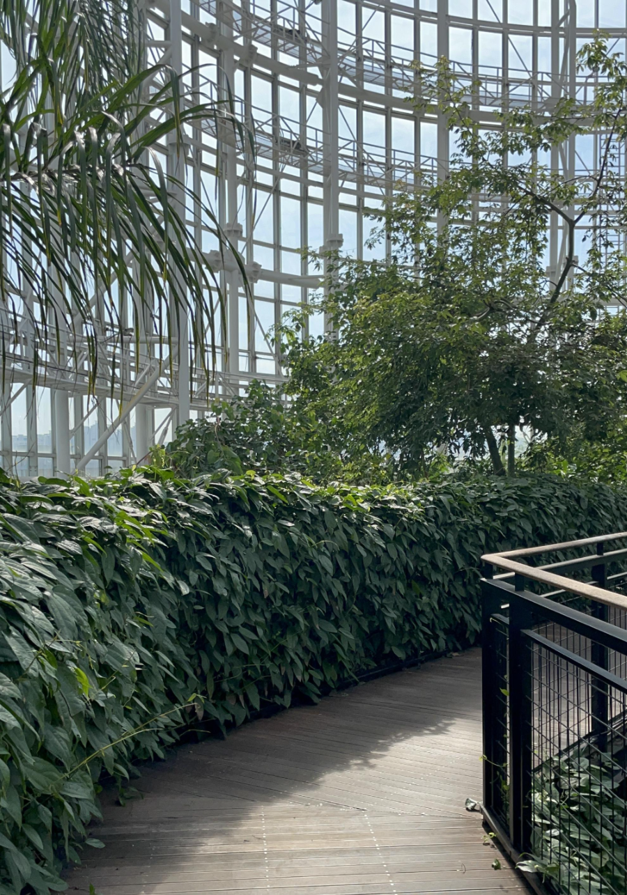 국립 세종수목원 사계절 전시온실 열대식물전시원