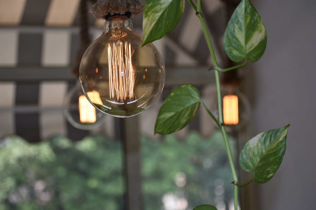LED bulb
