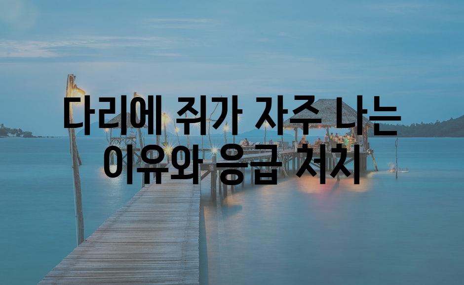 샘플 (78)