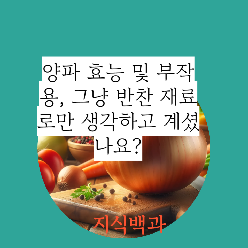 양파 효능 및 부작용, 그냥 반찬 재료로만 생각하고 계셨나요?