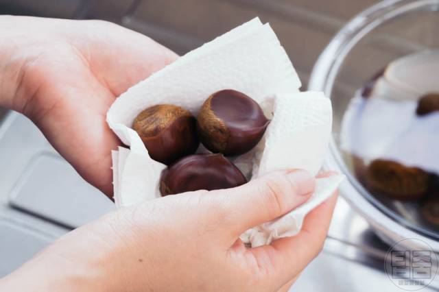 생밤 보관법 김치냉장고 밤 보관기간