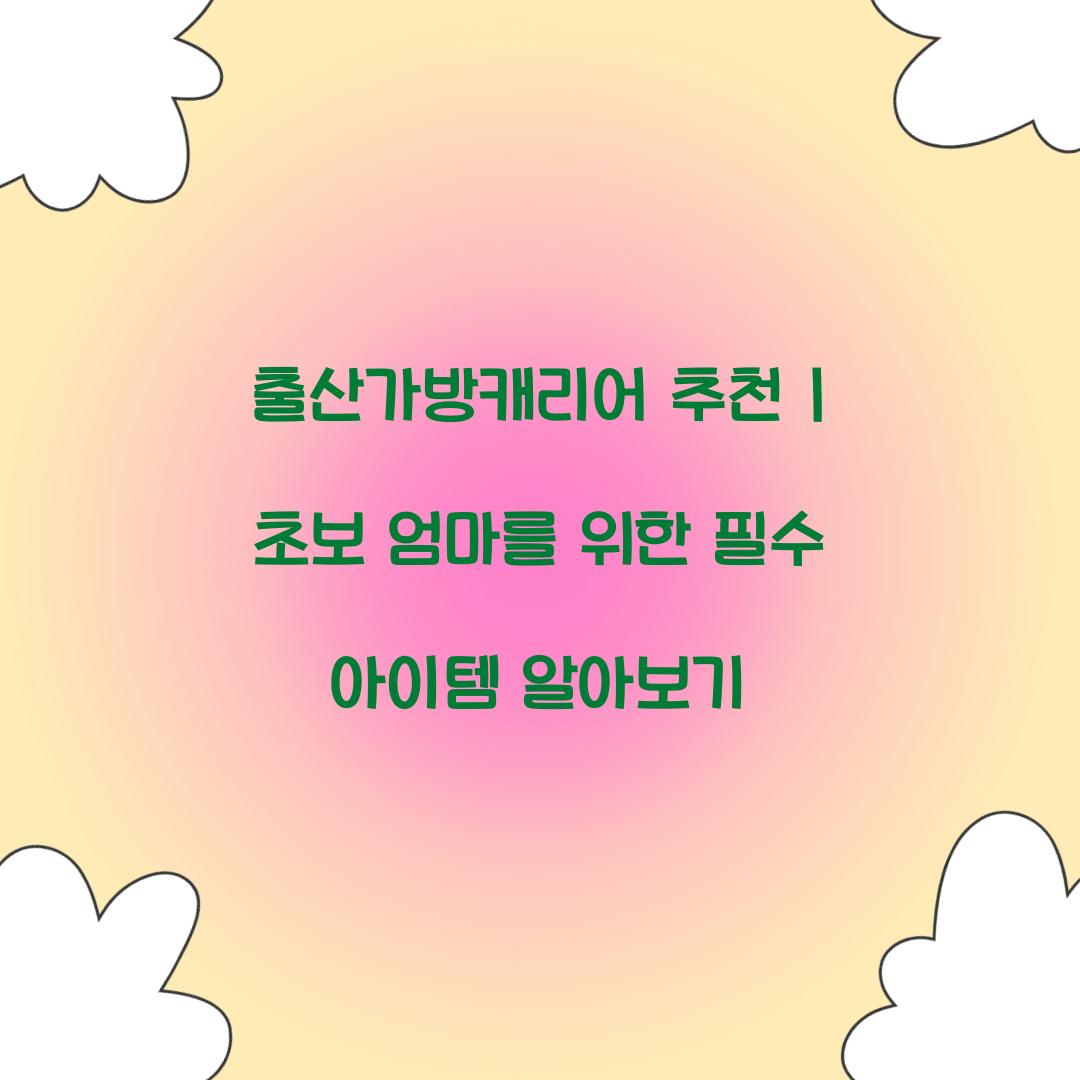 출산가방캐리어 추천