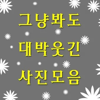 웃기는 유머 재밌는 유머 모음 웃기는 사진 10선_5