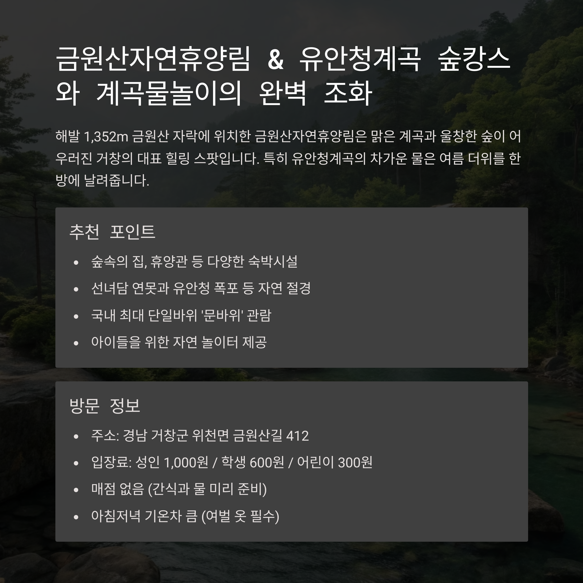 금원산자연휴양림 &amp; 유안청계곡: 숲캉스와 계곡물놀이의 완벽 조화