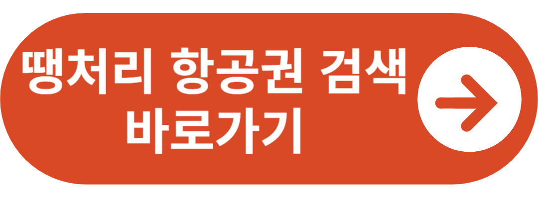 땡처리 항공권 검색 바로가기