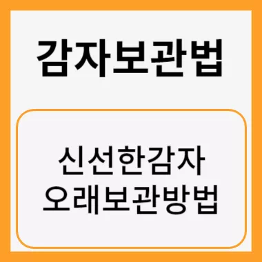 감자보관법 썸네일