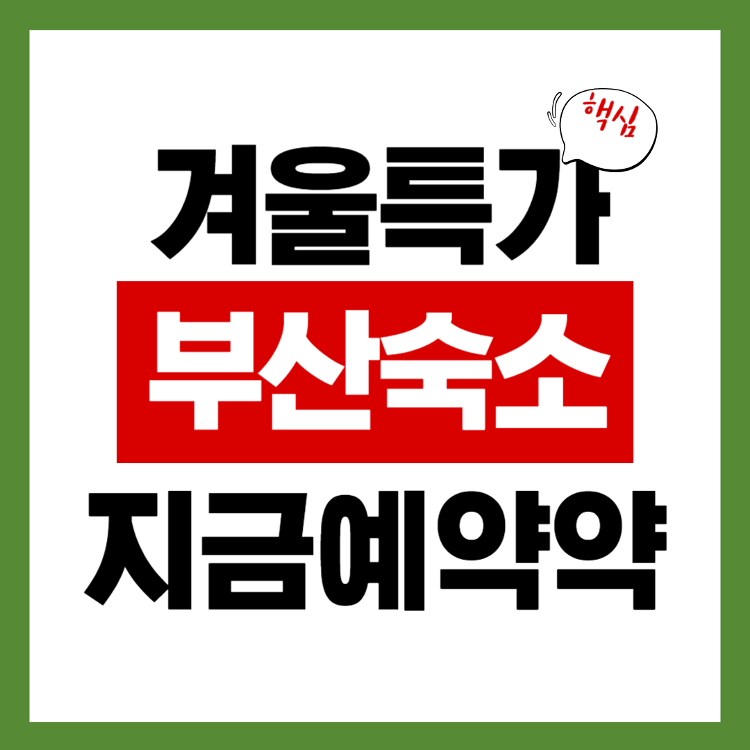 겨울철 부산 가성비 숙소