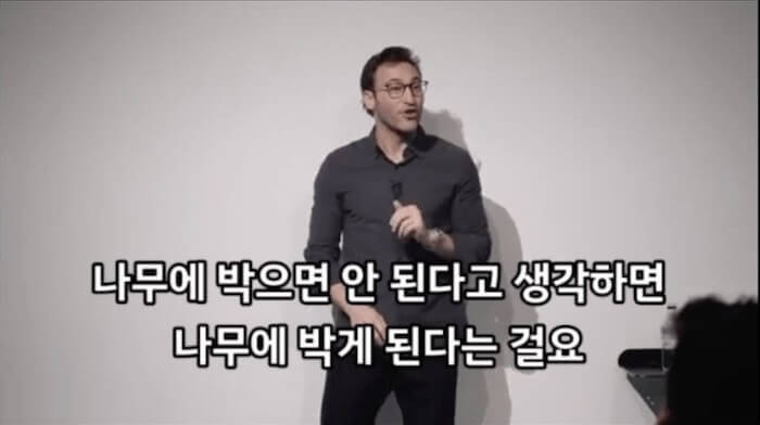 나무에 박으면 안 된다고 생각하면 나무에 박게 된다는 걸요.