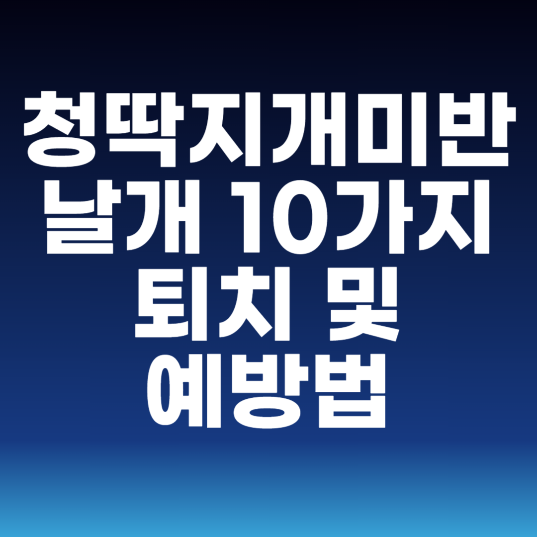 청딱지개미반날개 10가지 퇴치 및 예방법
