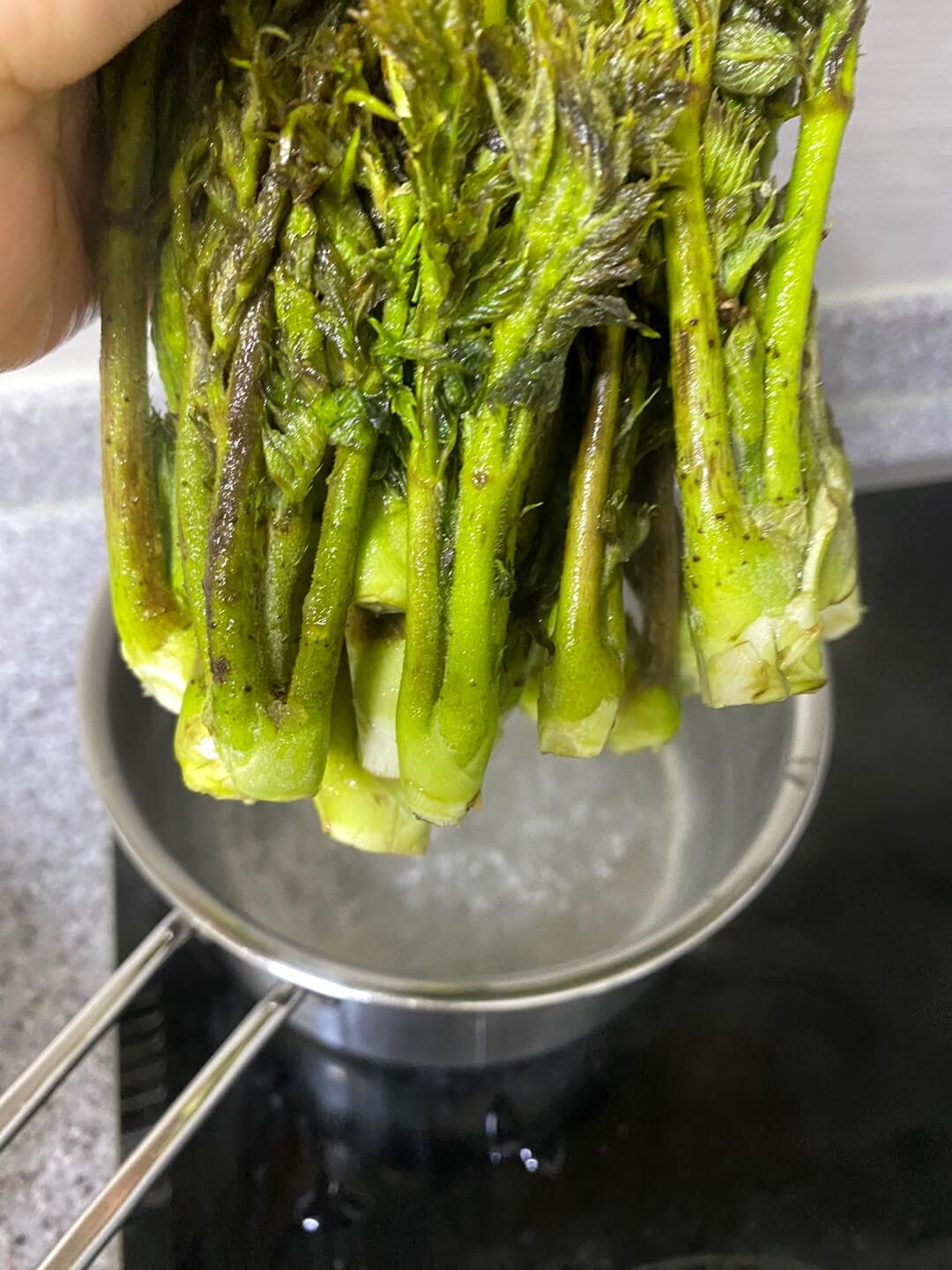 두릅 데치는 사진