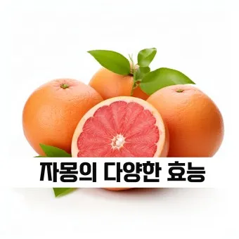 자몽 효능과 건강 효과_2