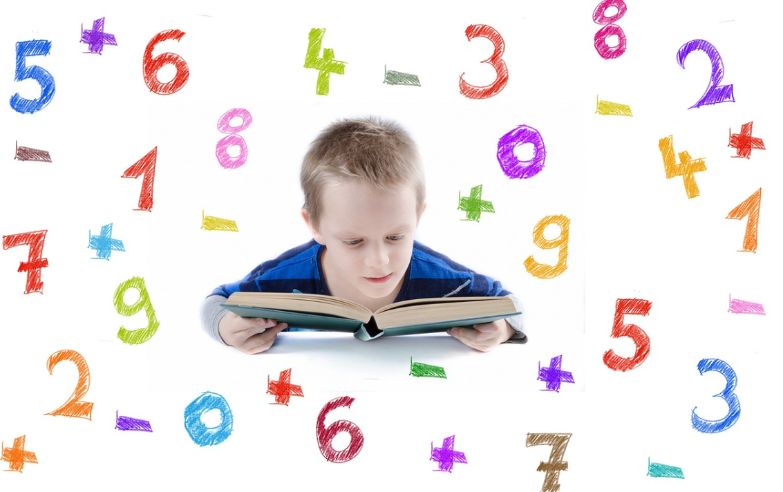 공립·사립 유치원 비교 (비용 차이, 교육 환경, 선택 포인트)