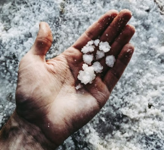 사람이 손위에 천일염을 들고 있다