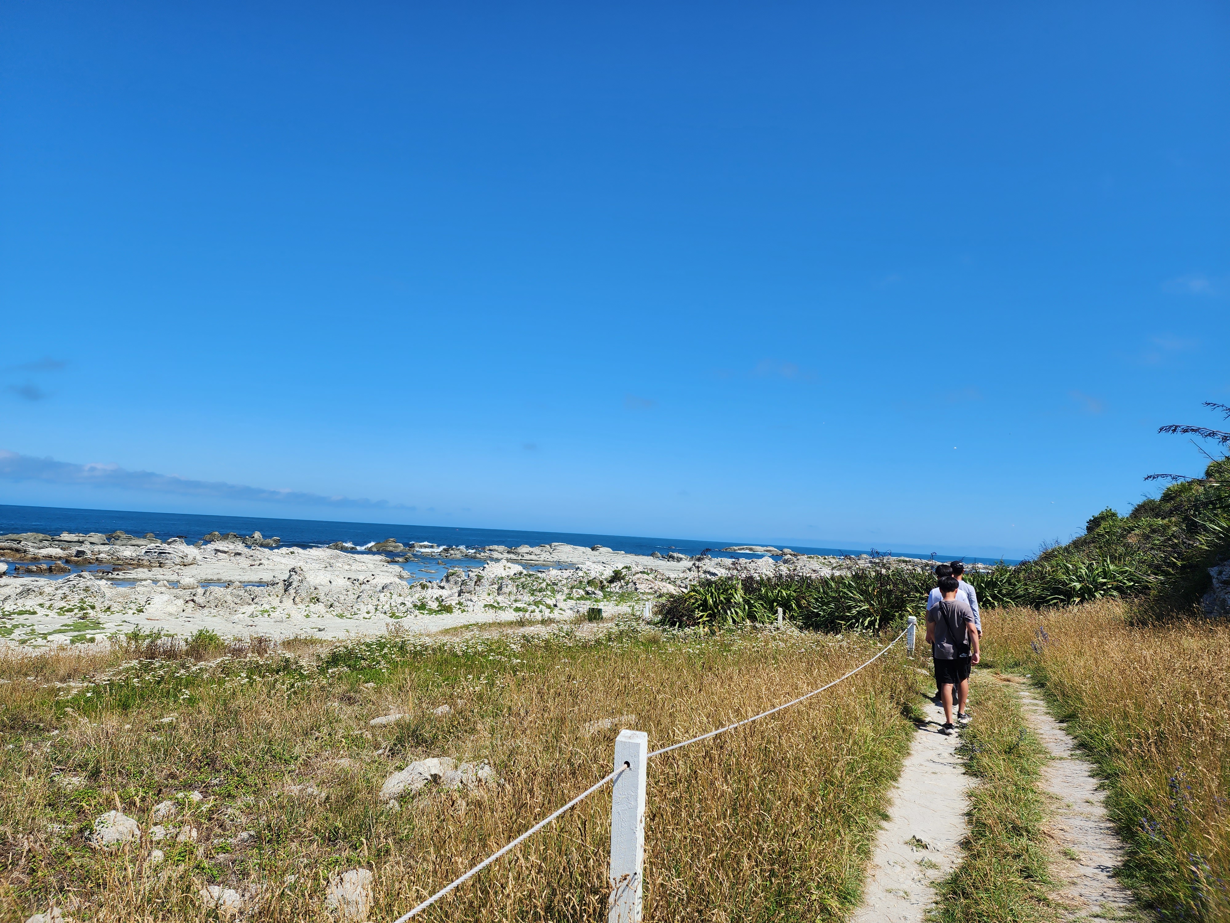Kaikoura Peninsula Walkway