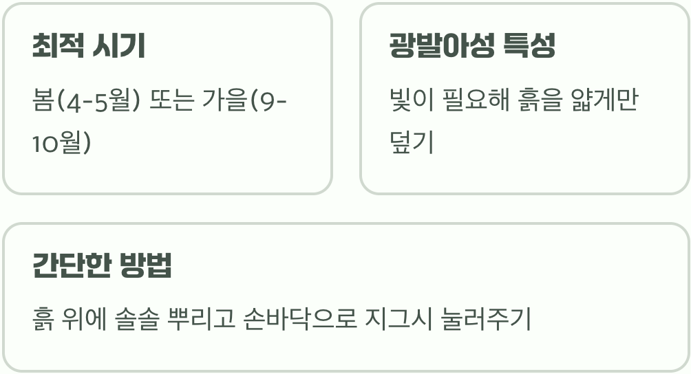 보잘것없는 시작&amp;#44; 씨앗 파종의 비밀