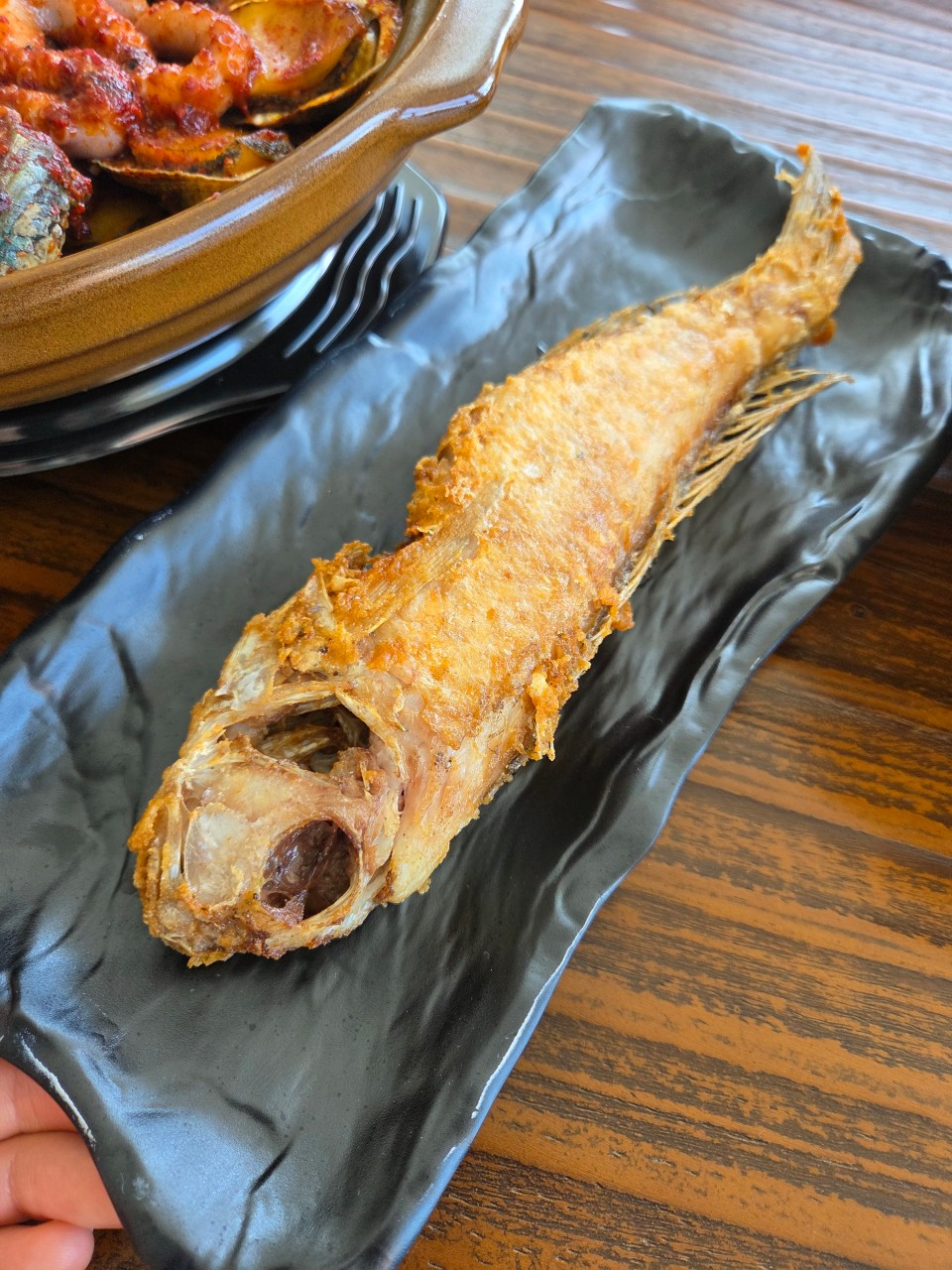 제주 산방산미친갈치