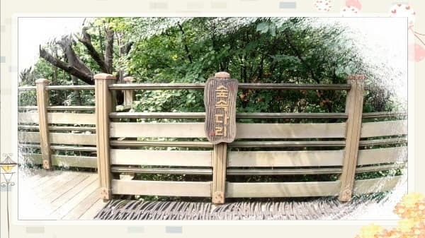 북악스카이웨이 산책로 완벽 가이드: 초보자도 쉽게 따라하는 코스