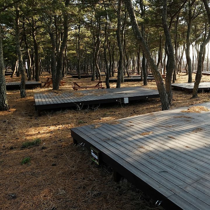 경상북도 영덕 고래불 국민 야영장 소개