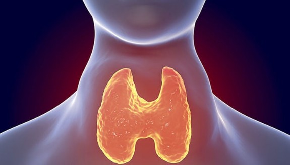 Q&A 갑상선 기능 항진증 증상 원인 진단 치료방법