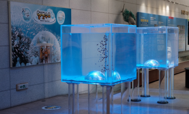 통영 수산과학관