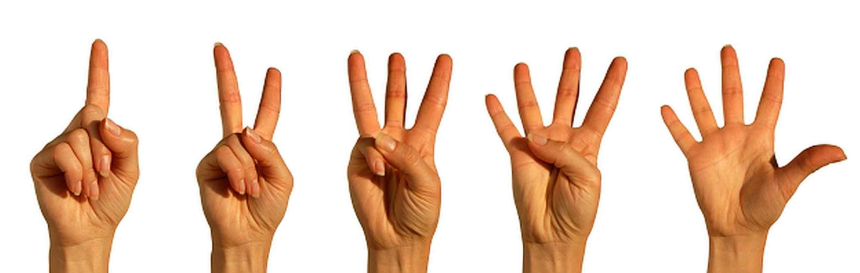 우리 인생엔 다섯 영역이 있습니다.