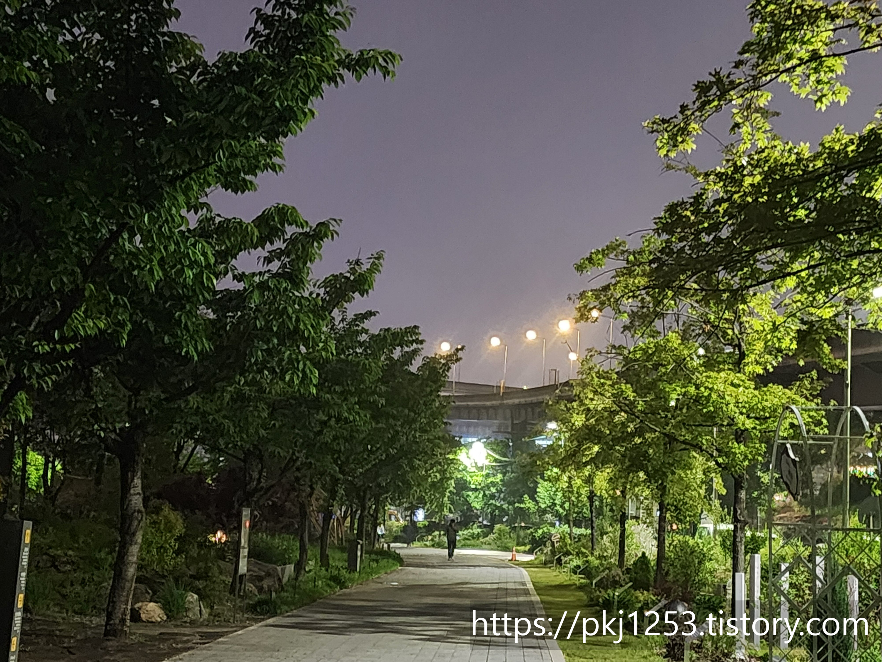 Alt 속성 문제 해결 설명 이미지