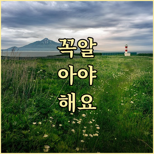 마포 신수동 주민이라면 필독 쓰레기 ..