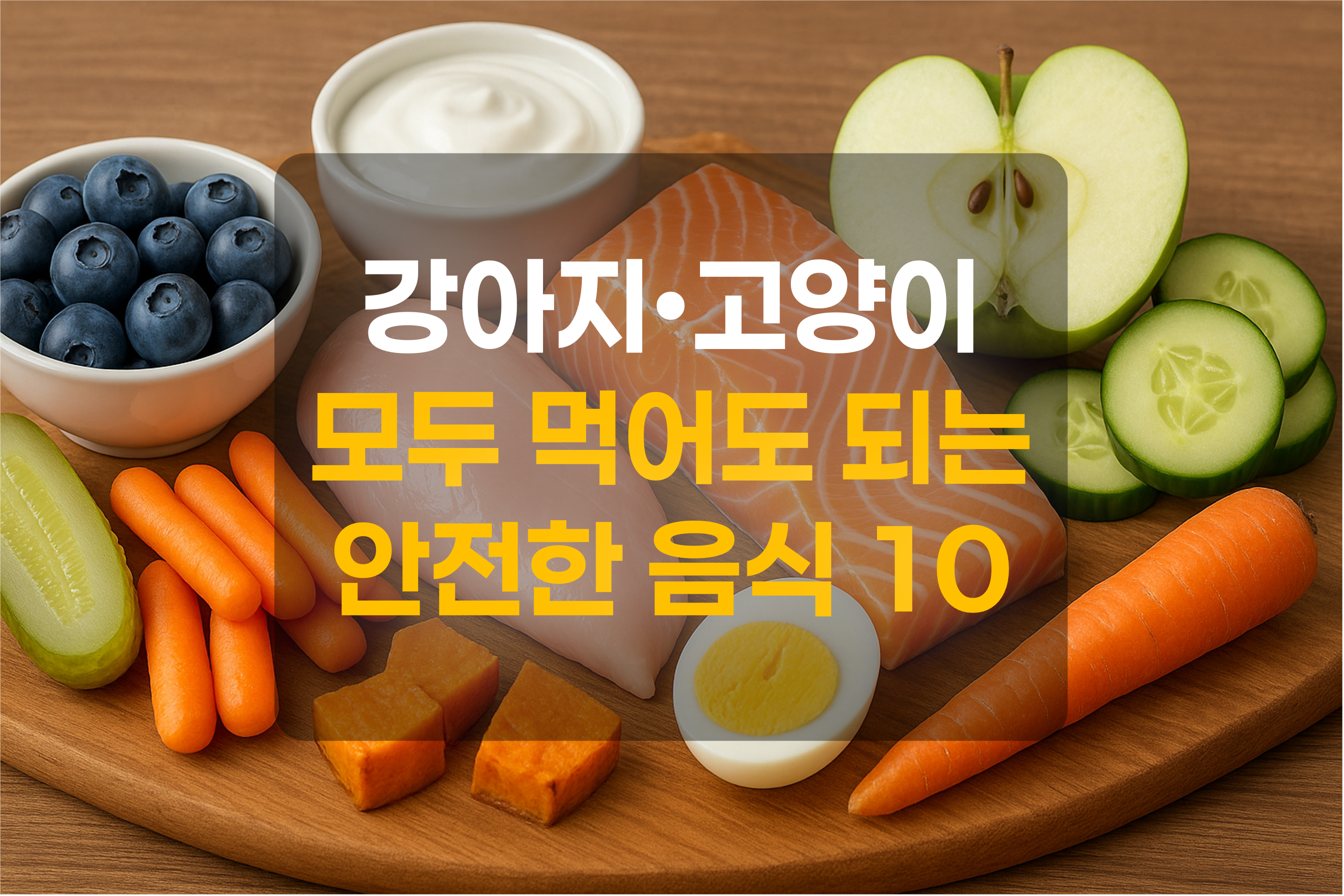 반려동물이 먹어도 되는 안전한 음식 10가지를 표현한 그림