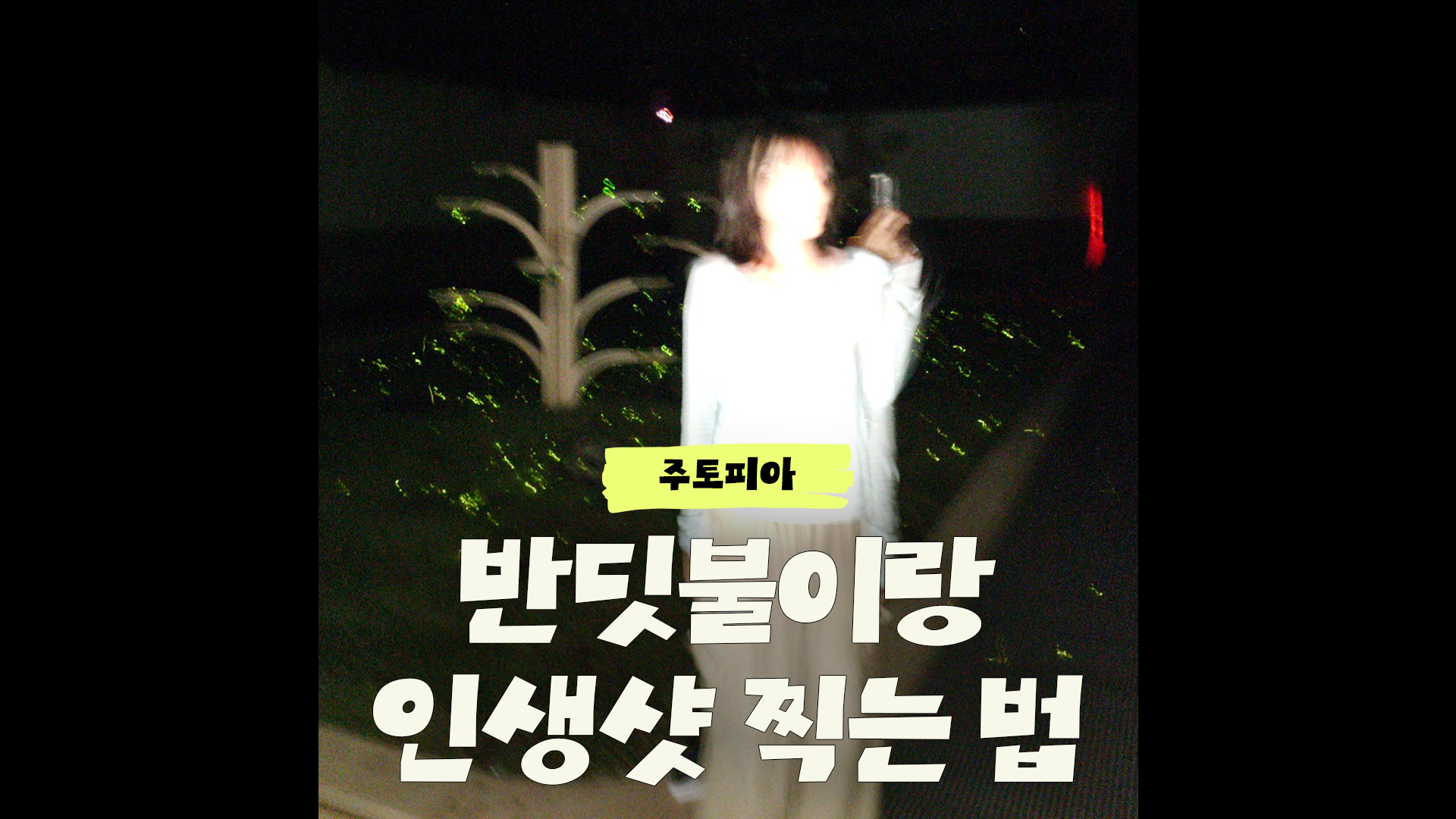 반딧불이 진짜 ㄹㅈㄷ인데 설명할 방법이 없네｜#에버랜드 #반딧불이