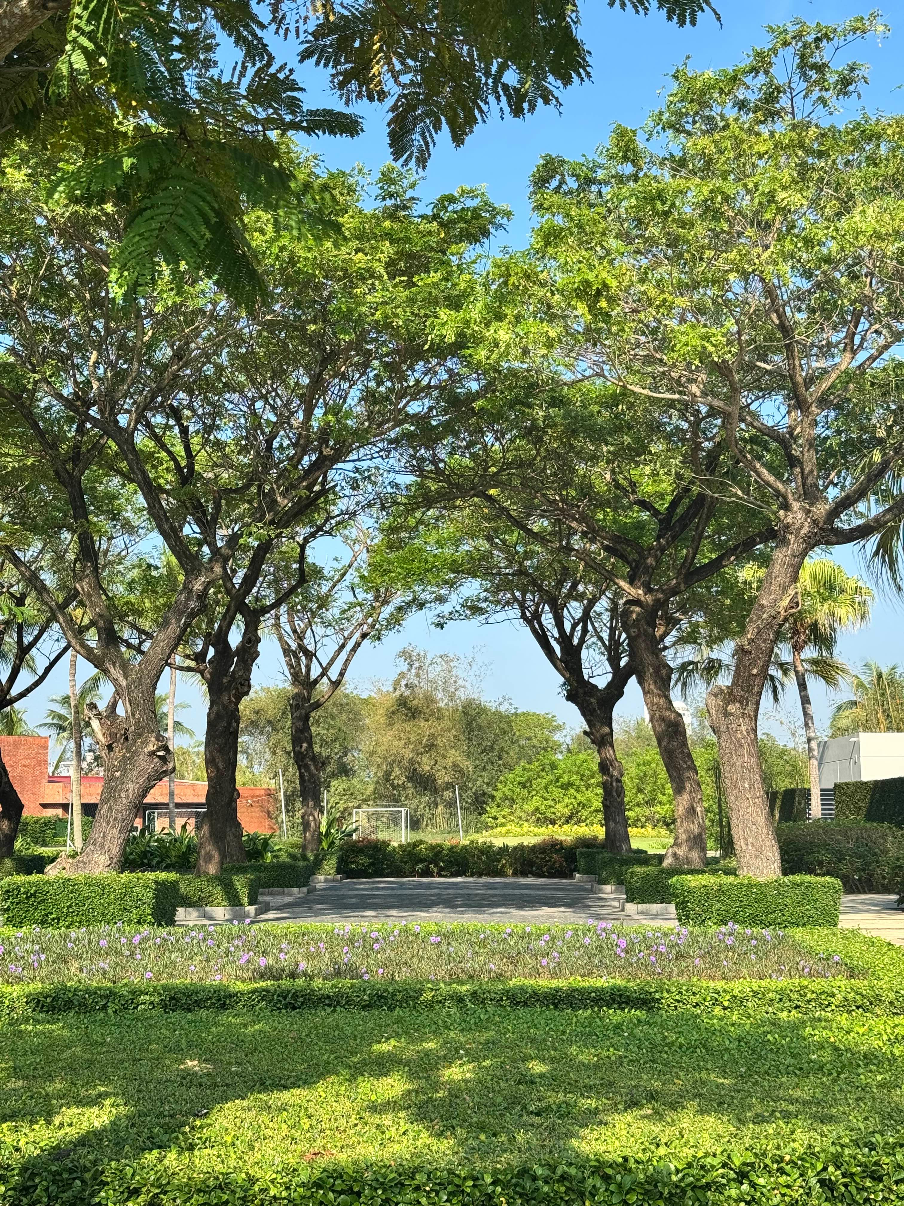 다낭 하얏트 리젠시 리조트 산책