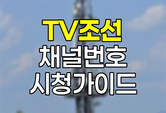 TV조선 채널번호 및 온에어 시청 가이드