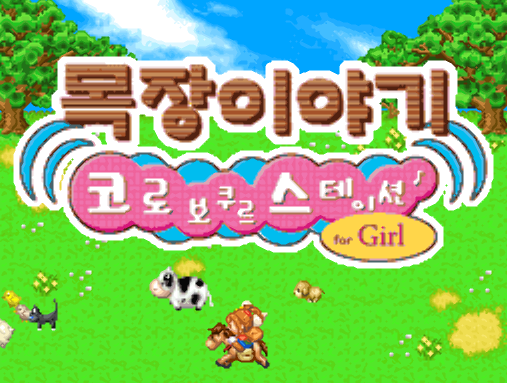 닌텐도 DS 정발판