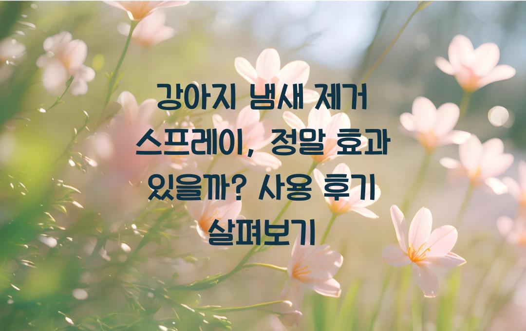 강아지 냄새 제거 스프레이, 정말 효과 있을까?