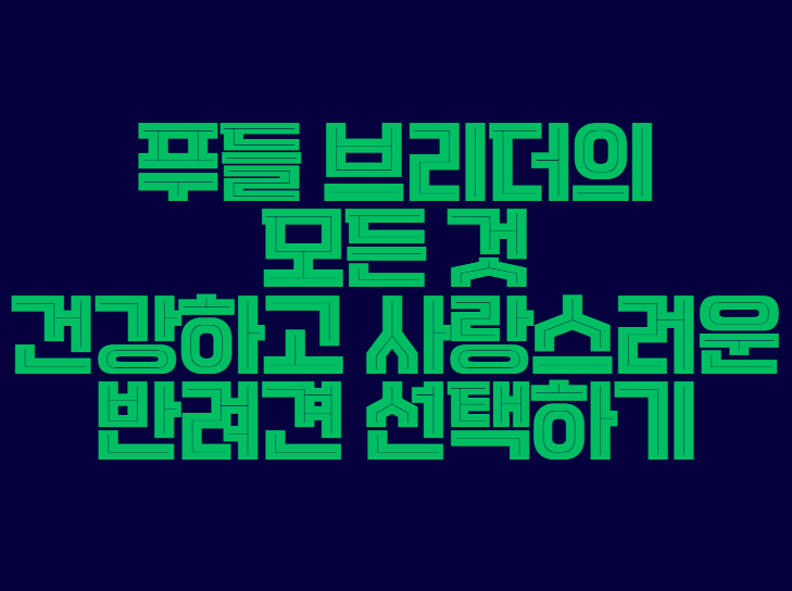 푸들_브리더
