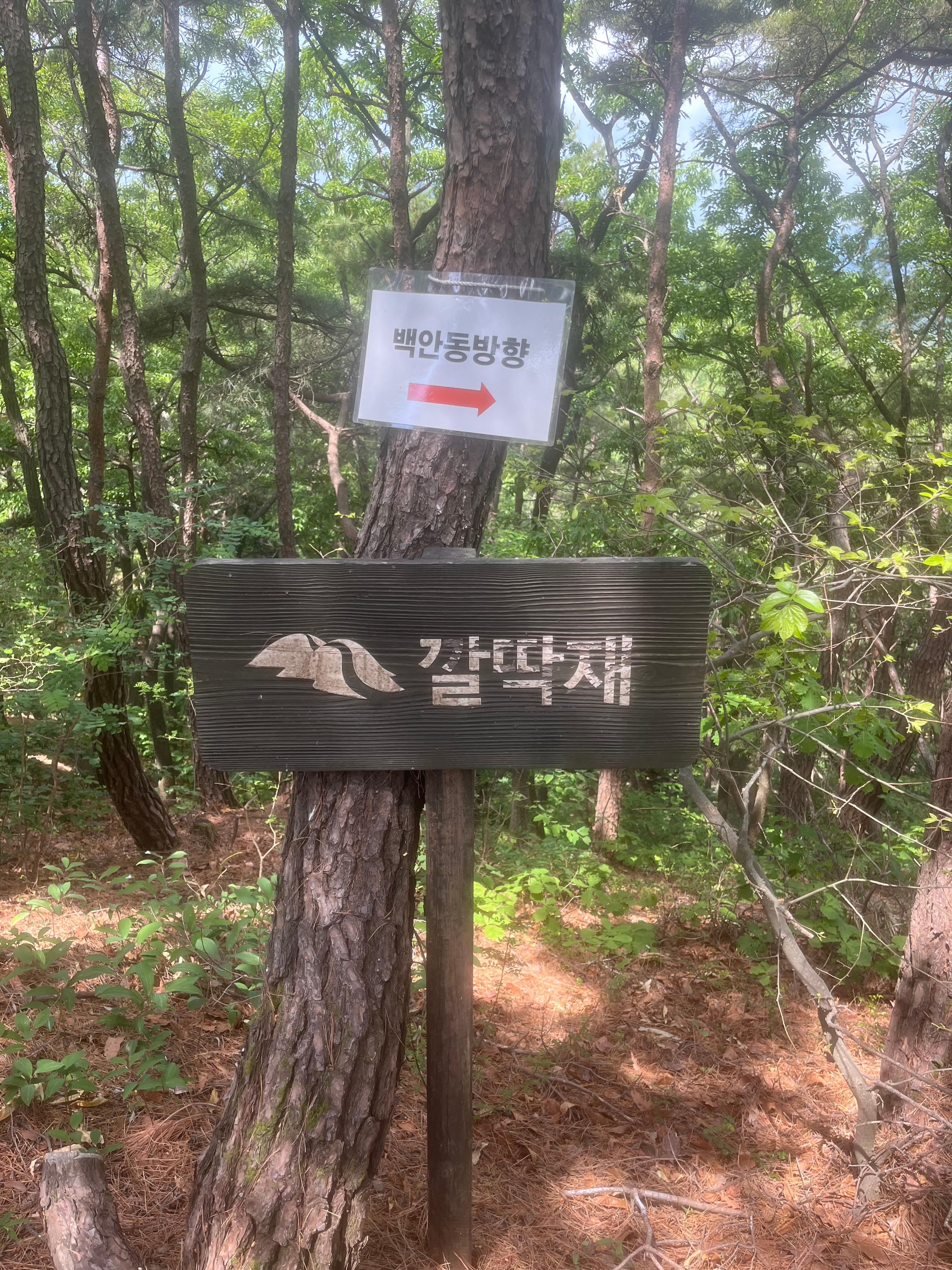 팔공둘레길 깔딱재