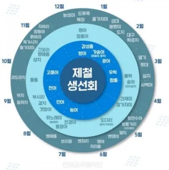 6월 제철회 종류별 신선한 해산물의 맛있는 향연_23